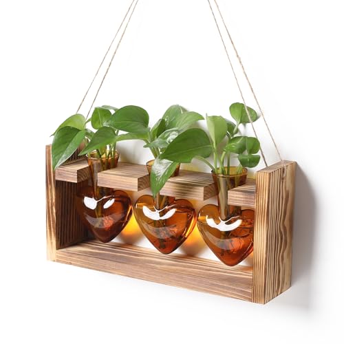Plant Terrarium Propagation Stations Hydroponics | Home Garden Decoration Gift for Women with Wooden Stand Heart Shaped Colored Glass Vase - color: Amber