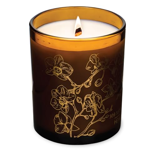 Hemlock Park Sea Salt Orchid Amber & Gold Wood Wick Candle | 7.2 oz | Coconut Apricot Wax | Crackling Wood Wick | Botanical Fragrance | Made in USA