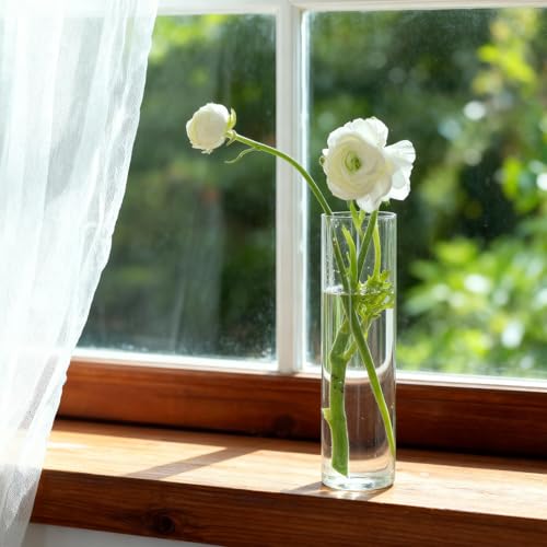 Glass Cylinder Bud Vases Skinny Single Flower Vase 12 Pcs | Tall Clear Glassware Container, Christmas Birthday Housewarming Holiday Decoration, Table Centerpiece Display