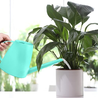 Plastic Watering Can - for Indoor and Outdoor House Plant Garden - with Long Spout - 1/2 Gallon - SkyBlue - color: Skyblue