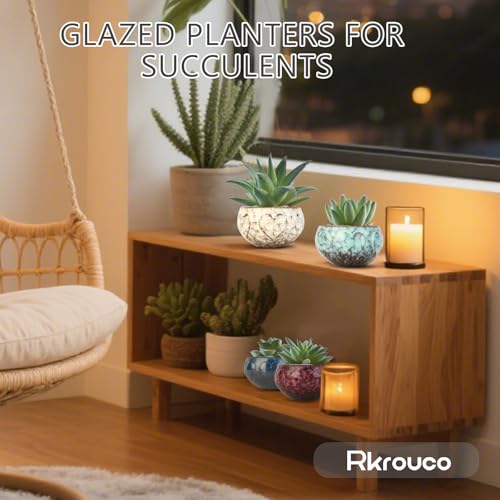 Ceramic Plants Pots 3 Inch Set of 4 Flower Pots with Drainage and Bamboo Tray for Indoor/Outdoor Small House Plants,Foliage Plant - style: Set 1