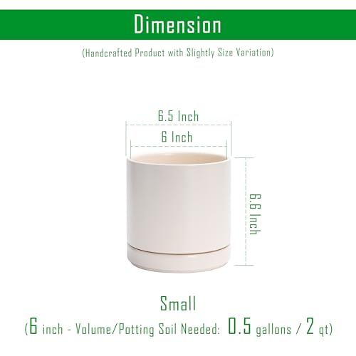 D'vine Dev 2-Pack Ceramic Pots with Saucers, Oatmeal, 6.5 in, 94-V-C-8 | Modern Cylinder Design, Glazed Ceramic, Drainage Hole & Saucer Included, High Temperature Fired, Elegant Home Accent - color: Oatmeal, size: 6 Inch