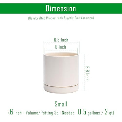 D'vine Dev 2-Pack Ceramic Pots with Saucers, Oatmeal, 6.5 in, 94-V-C-8 | Modern Cylinder Design, Glazed Ceramic, Drainage Hole & Saucer Included, High Temperature Fired, Elegant Home Accent - color: Oatmeal, size: 6 Inch