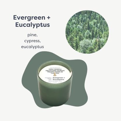 Dignity Series Evergreen & Eucalyptus Bourbon Scented Candle | 35 Hour Burn - Made in the USA Luxury Clean Soy Wax Candles - Long Lasting Glass Jar Candle for Home - 1 Wick - 5.3oz - color: Evergreen + Eucalyptus