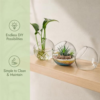 3 Pcs Glass Terrarium Air Plant Planters - Slant Cut for Home Office Decor, Succulent & Air Plant Containers, Transparent Glass Vases for DIY Gifts, Weddings, Housewarming
