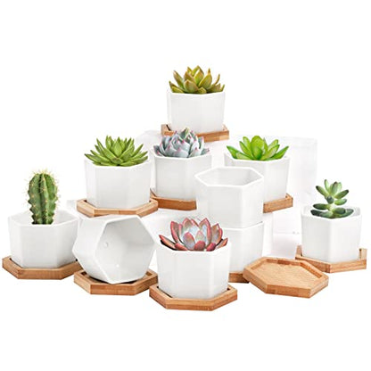 Foraineam 10 Pack Mini Succulent Plant Pots, 2.76 inch Hexagonal White Ceramic Succulent Cactus Planters with Bamboo Tray