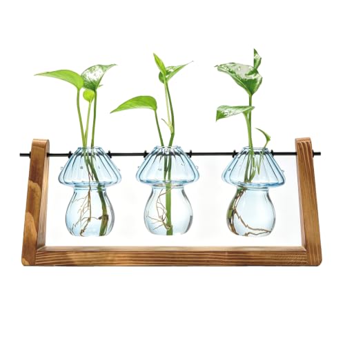 Hyindoor Propagation Stations with Wooden Stand & 3 Glass Mushroom Vases, Plant Terrarium Mushroom Planter for Hydroponics Home Garden Ofiice Tabletop Decor, Propagation vases Gifts for Women Mom