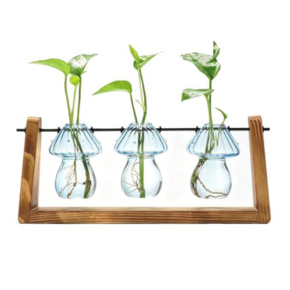 Hyindoor Propagation Stations with Wooden Stand & 3 Glass Mushroom Vases, Plant Terrarium Mushroom Planter for Hydroponics Home Garden Ofiice Tabletop Decor, Propagation vases Gifts for Women Mom