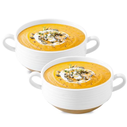 HASENSE Ceramic Soup Bowls with Handles Set of 2, 20 Oz French Onion Soup Crocks, Stackable Serving Bowls for Chili, Stew, Cereal & Pasta, Microwave Dishwasher Safe, White - color: White, size: Set of 2