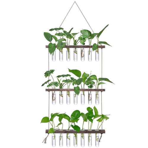 XXXFLOWER Wall Hanging Propagation Station with Wooden Stand | 21 Glass Test Tubes 3 Tiers Planters Wall Terrarium for Home Office Plant Hanger Flower Vases Bathroom Wall Decor - color: Brown, size: 21 Tube Vases