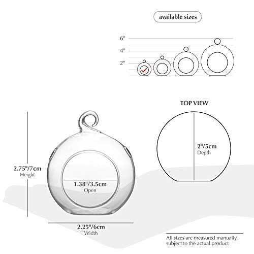 WGV Hanging Terrarium Globe Bulk, Width 2.25", Height 2.75", DIY Air Succulent Planter, Clear Glass Vase Orb with Flat Bottom, Candle Holder for Windowsill Outdoor Garden Decor, 12 Pieces