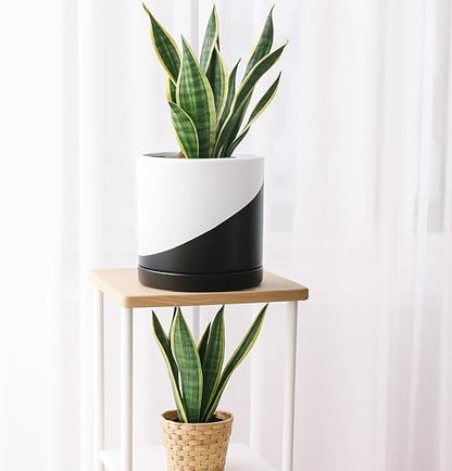 D'vine Dev 8.2 Inch Ceramic Planter Pot, Black White Diagonal, 94-O-D-K | Modern Cylinder Design, Drainage Hole & Saucer Included, Stable Structure, Elegant Home Accent - color: Oblique Monochrome Black & White, size: Medium