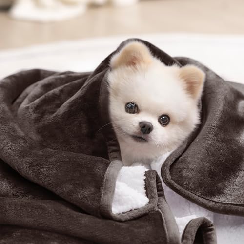 gogobunny Waterproof Bed Blanket, Reversible Sherpa Fleece Throw Blanket for Dog Puppy Cat, Furniture Cover Protects Bed Couch Sofa from Liquid Pee and Pet Fur (Dark Brown, 25x35 inches) - color: Dark Brown, size: 25x35 inches