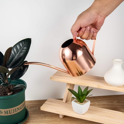 IMEEA 30oz Indoor Plant Watering Can Stainless Steel Long Spout, Rose Gold - color: 30oz (1l) - Rose Gold