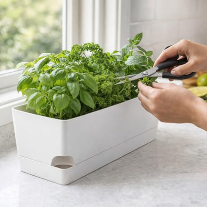 Party Zealot Window Boxes Planters, 3 Pack Self Watering Pots for Indoor Plants 17 Inch Rectangular Planter Rectangle Flower Pots Long Plant Pot Large Window Sill Herb Planter Box, White - color: White