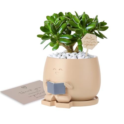 Bookworm Planter Pot with Drainage Cute Plant Pots for Succulents & Small Plants | Teacher Gifts Housewarming|Book Lover Gift, Indoor Planters | Christmas Teacher Gift Mother Dad Appreciation