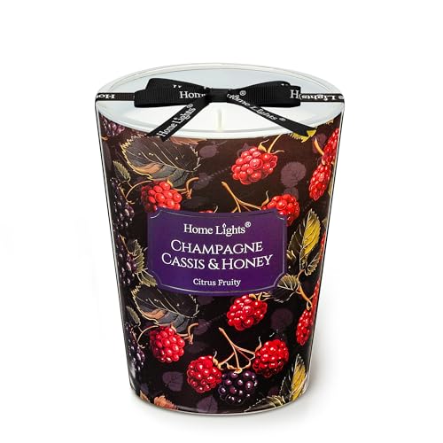HomeLights Scented Candles for Women & Men, 6.7oz Candle Jars Aromatherapy Single Wick Candle, Ideal for Eclectic Mixed Styles Home Decor and Gifts, Champagne Cassis & Honey - color: Champagne Cassis & Honey