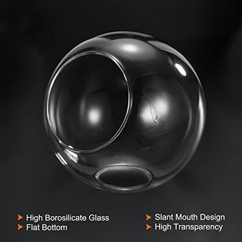 PATIKIL Round Globe Terrarium Air Plant Planter, 5.4 Inch High Borosilicate Glass Table Decorations for Succulent, Tillandsia, Clear - size: 5.4 Inch