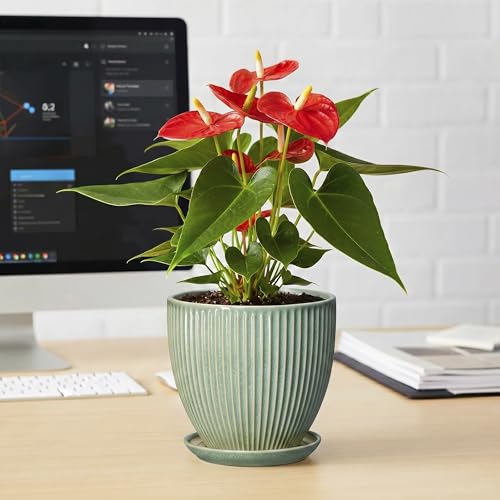 Ceramic Plant Pots, 6 Inch Ceramic Pots for Herb Snake Plants, Indoor Small Flower Pot with Drainage Hole and Saucer, Modern Round Planter, Room Office House Decor, Gardening Gifts, Green - size: 6 Inch, style: Green