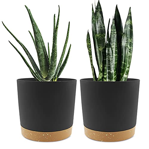 QCQHDU 8 inch Plant Pot, 2 Pack Planters for Indoor Plants with Drainage Holes & Saucer, Outdoor Flower Pots Home Garden Modern Decor - color: Dark Grey, size: 8 inch