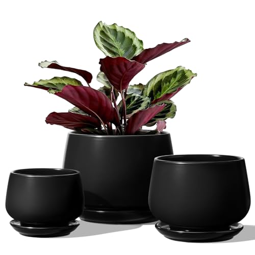 LE TAUCI Plant Pots, 4.1+5.1+6.5 inch, Set of 3, Ceramic Planters with Drainage Hole and Saucer, Indoor Flower Pot with Hole Mesh Pad, Gifts for Mom, Black - color: Black
