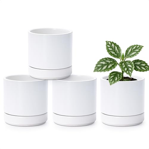D'vine Dev 4-Pack Ceramic Pots with Saucers, White, 4.7 in, 94-X-B-1 | Glazed Ceramic, Drainage Hole and Saucer, Sleek Cylinder Shape, High Temperature Fired, Ideal for Small Houseplants - color: White, size: 4.7 Inch
