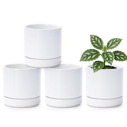 D'vine Dev 4-Pack Ceramic Pots with Saucers, White, 4.7 in, 94-X-B-1 | Glazed Ceramic, Drainage Hole and Saucer, Sleek Cylinder Shape, High Temperature Fired, Ideal for Small Houseplants - color: White, size: 4.7 Inch