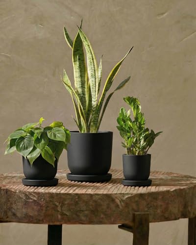 Bamworld Plant Pots Indoor with Drainage Holes- Set of 3 Pots for Plants(5.1/6.3/7.5Inch) Plastic Flower Pot Planters for Indoor Outdoor Plants Garden Pots for Room & Office Décor Black - color: Textured Black, size: Oval