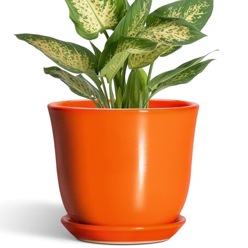 5.6 Inch Plant Pot - Ceramic Pots for Plants Indoor Outdoor, Succulent Pot with Drainage Hole and Saucer, Round Modern Flower Pots, Garden Home Room Decor, Gifts for Plant Lovers, Orange - color: Orange, size: 6 Inch