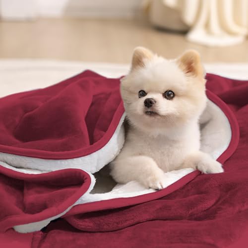 gogobunny Waterproof Bed Blanket, Reversible Sherpa Fleece Throw Blanket for Dog Puppy Cat, Furniture Cover Protects Bed Couch Sofa from Liquid Pee and Pet Fur (Romantic Red, 25x35 inches) - color: Romantic Red, size: 25x35 inches
