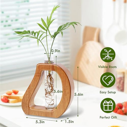 Glass Test Tube Plant Propagation Terrarium Station | Wall Hanging for Indoor Water Plant Rooting, Wall Home Decor, Thoughtful Gardening Gift for Mom and Plant-Loving Women - size: 5.3*5.6IN