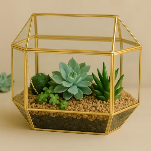 Koyal Wholesale 1 Pcs Gold Geometric Glass Wedding Card Box, Gold Wedding Reception Drop Box, Geometric Terrarium Glass Planter, Terrarium Card Box Centerpiece