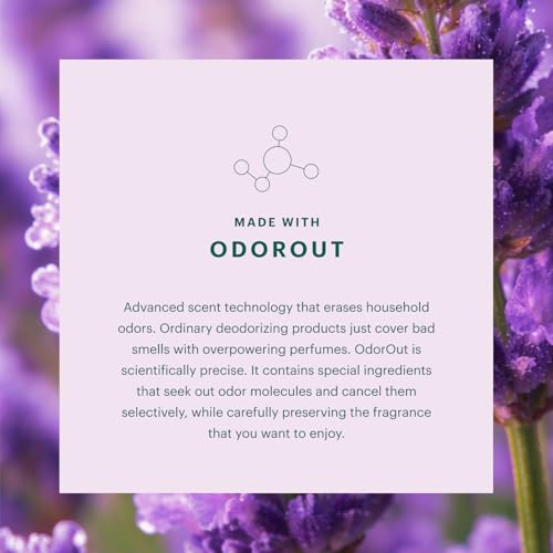 Aera Home Hygiene Lavender & Bergamot Diffuser Fragrance Refill - 25ml | Notes of Lavender, Lavandin and Wild Mint, essential oil, aromatherapy, Alexa Compatible, works with Aera diffuser