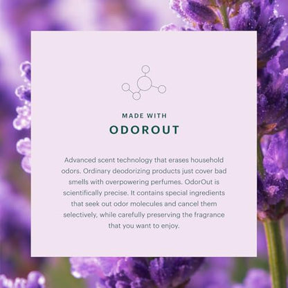 Aera Home Hygiene Lavender & Bergamot Diffuser Fragrance Refill - 25ml | Notes of Lavender, Lavandin and Wild Mint, essential oil, aromatherapy, Alexa Compatible, works with Aera diffuser