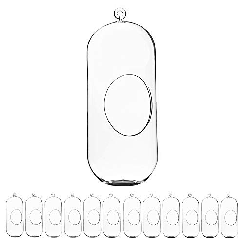WGV Hanging Glass Plant Terrarium Bulk, Width 5", Height 12", Lantern DIY Air Succulent Planter Clear Tea Light Votive Candle Holder, Wedding Event Office Home Outdoor Decor, 12 Pieces