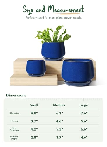 LE TAUCI Plant Pots, 4.1+5.1+6.5 inch, Set of 3, Ceramic Planters with Drainage Hole and Saucer, Indoor Flower Pot with Hole Mesh Pad, Gifts for Mom, Sapphire Blue - color: Sapphire Blue
