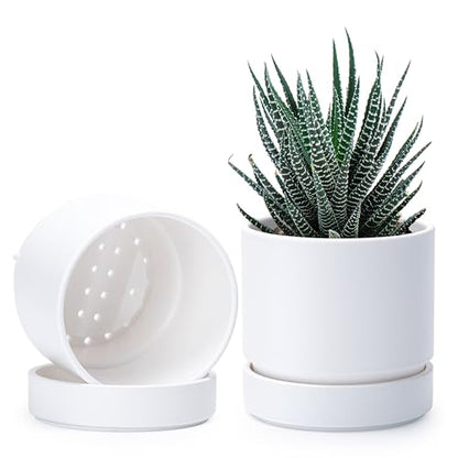 Phoenix Vine 4 Inch Planter Pot with Drainage Hole & Saucer, Deep Water Catch Tray, Straight Cylindrical Round Pot for Plants, Matte White, Pack of 2, 23-B-R-2 - color: Matte White, size: 4" (2 Pack)