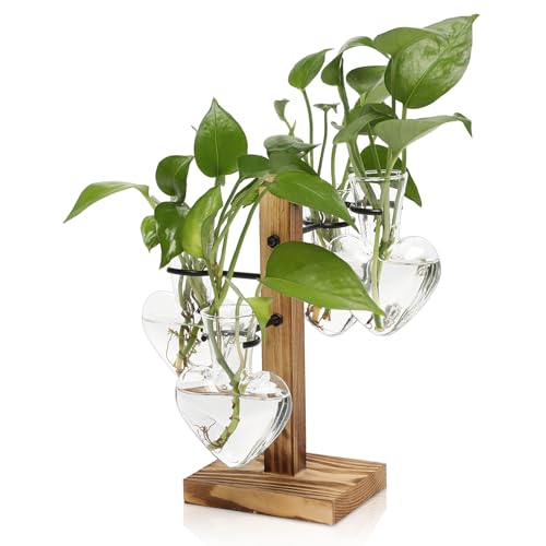 Plant Terrarium Propagation Stations with Wooden Stand | Glass Vase for Indoor Hydroponics Home Garden Office Decoration Gift for Women - 4 Love Bulb Vase - color: Transparent