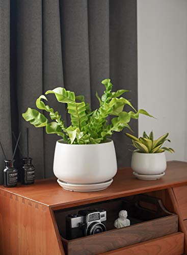 LE TAUCI Ceramic Plant Pots, 4.1+5.1+6.5 inch, Set of 3, Planters with Drainage Hole and Saucer, Indoor Flower Pot with Hole Mesh Pad, Gifts for Mom, White - color: White