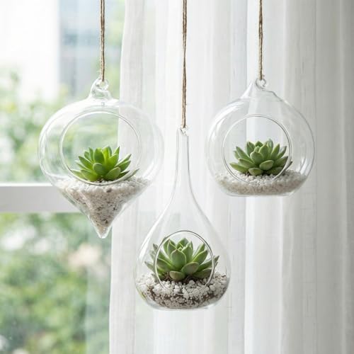 Zopeal 3 Pack Glass Hanging Planter Air Fern Holder Terrarium Plants Hanger Vase and 3 Pcs Wall Planter Propagation Stations Glass Flower Vase for Plant Lovers Gifts Home Christmas Hydroponic Plants