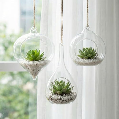 Zopeal 3 Pack Glass Hanging Planter Air Fern Holder Terrarium Plants Hanger Vase and 3 Pcs Wall Planter Propagation Stations Glass Flower Vase for Plant Lovers Gifts Home Christmas Hydroponic Plants