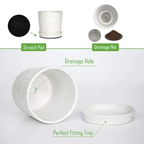 D'vine Dev 2-Pack Geometric Stoneware Planters, 3.8/5.8 in, White, 99-E-1 | Drainage Hole and Saucer, Sculptural Geometric Design, Rich Glazed Surface, Modern Style, Elegant Accent for Indoor Plants - color: White