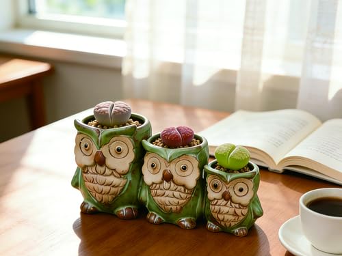 Cute Owl Planter, Small Funny Succulent Pots, Unique Decorative Animal Statue Ceramics Plant Pot for Indoor/Outdoor Home Office with Drainage, Owl Gifts for Women Mother Teacher, Three Owls
