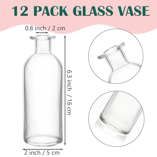 Nexboraque 12 Pack Glass Bud Vases | Clear Small Vases in Bulk Decorative Glass Flower Bottles for Table Centerpiece, Home Decor, Office, Wedding Reception