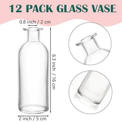 Nexboraque 12 Pack Glass Bud Vases | Clear Small Vases in Bulk Decorative Glass Flower Bottles for Table Centerpiece, Home Decor, Office, Wedding Reception