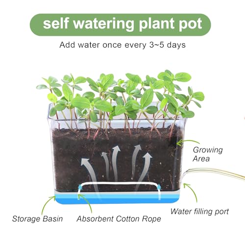 4pk Self-Watering Windowsill Planters, Clear Plastic w/Drainage Holes | 7.8"x5.4"x4", Rectangular Flower Pots, Plant Growth Observation Box for Kids