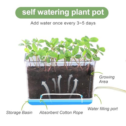 4pk Self-Watering Windowsill Planters, Clear Plastic w/Drainage Holes | 7.8"x5.4"x4", Rectangular Flower Pots, Plant Growth Observation Box for Kids