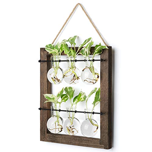Mkono Plant Propagation Station, Wall Hanging 2-Layer Glass Terrarium Vases | Wood Stand Planter, Hydroponic Flower Cuttings, Premium Bulb Jars,Retro Design,Clear Root View,Home Office Garden Decor