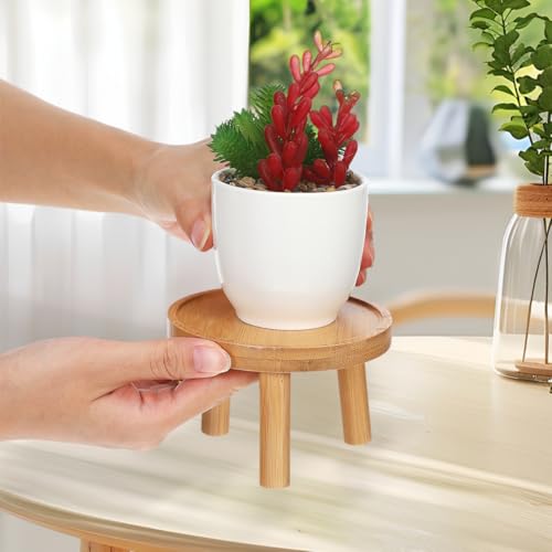Levemolo 2Pcs Wooden Flower Pot Tray Base Indoor Plant Stand | Stable wood base, for indoor tabletops, supports potted plants and succulents