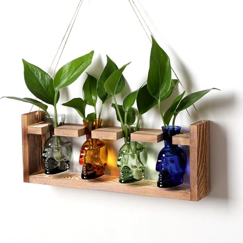 Plant Propagation Stations Halloween Skull Plant Terrarium Kit | Glass Vases Gift for Father Air Planter Home Office Decor - color: Color011